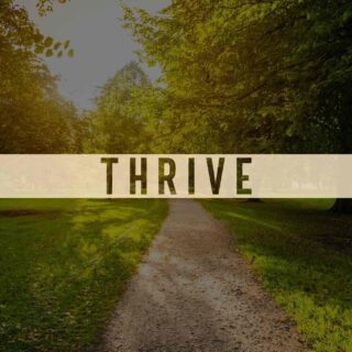 Thrive