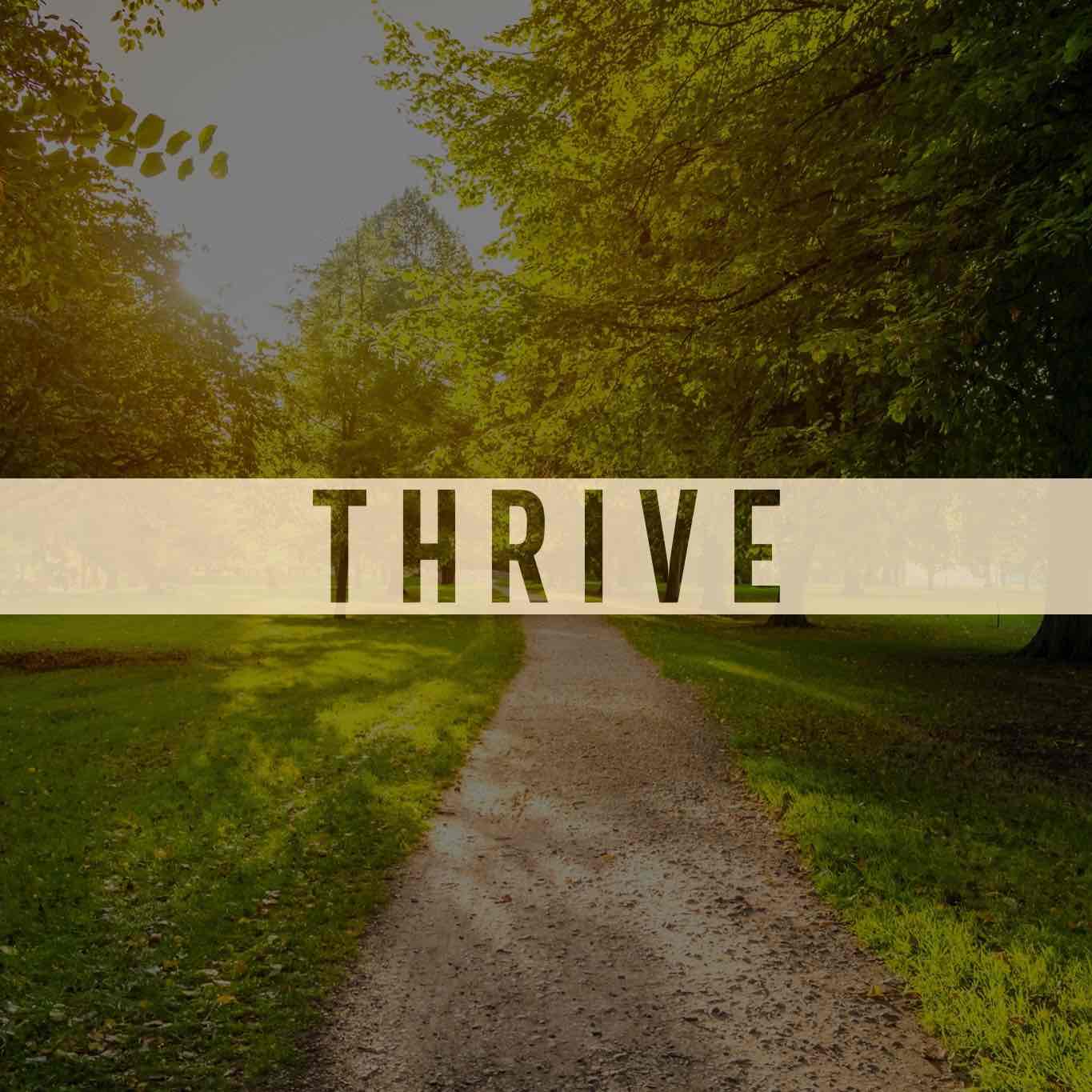 Evolve:Lyfe - Resources to Help You Survive, Grow, and Thrive